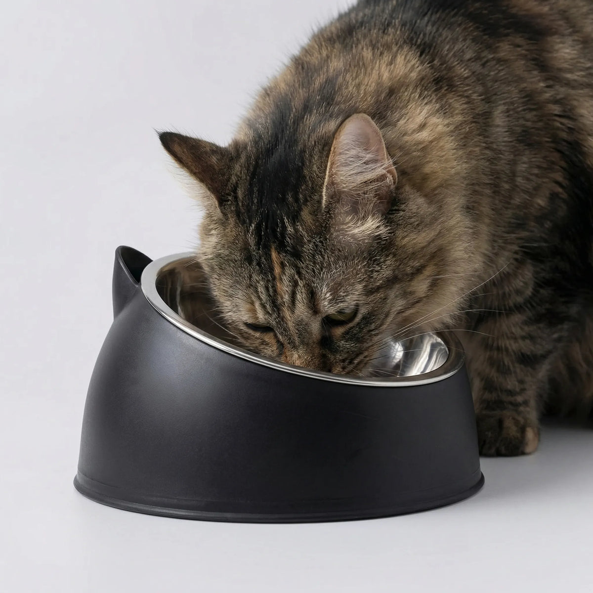 Geneigter Katzenfutternapf aus Edelstahl für Katzen und kleine Hunde