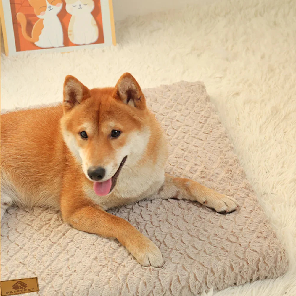 Orthopädische Hundematte mit Schaumstoffkern und waschbarem Bezug für Komfort