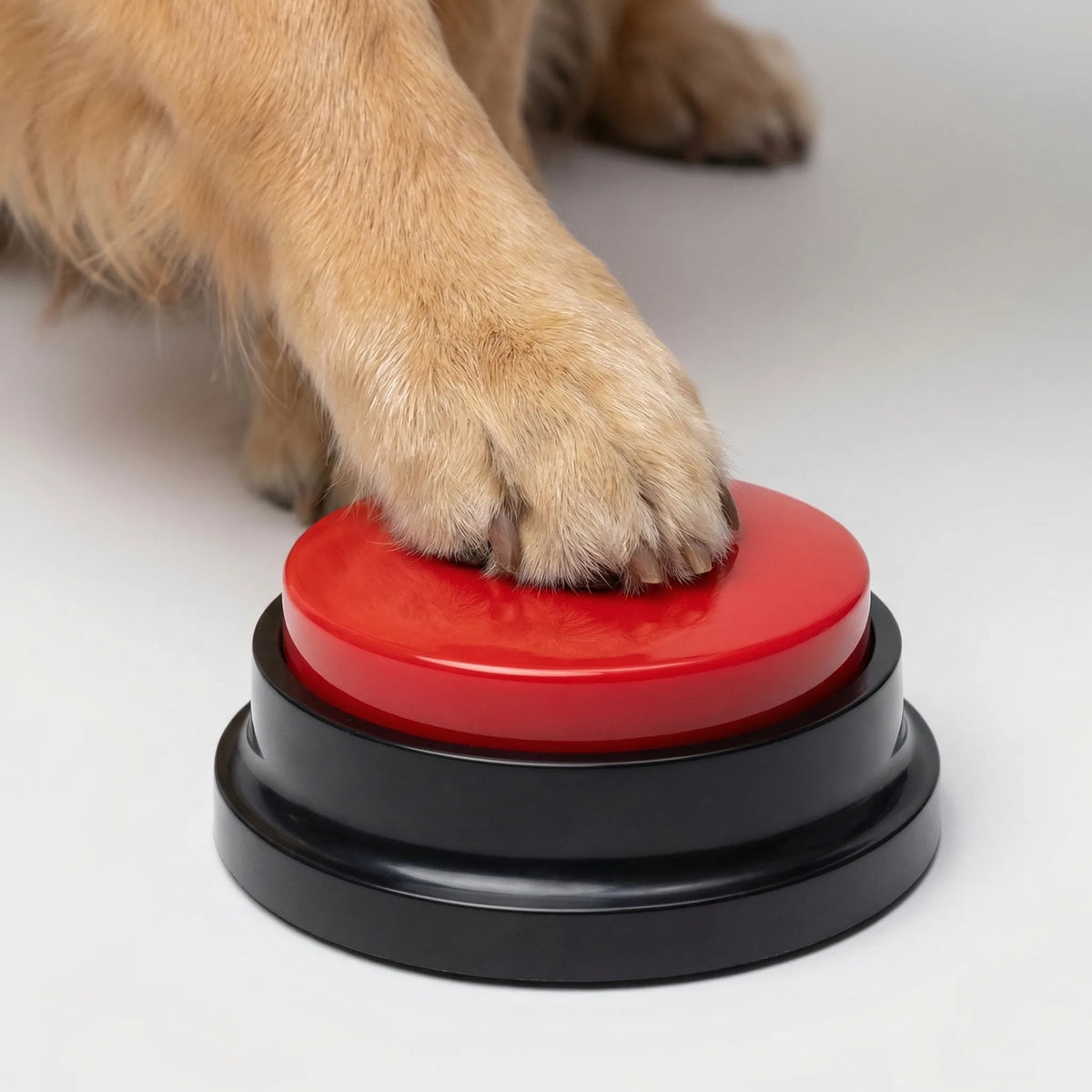 Aufnehmbare Sprachknöpfe für Haustiere, Kommunikations-Set für Hunde und Katzen