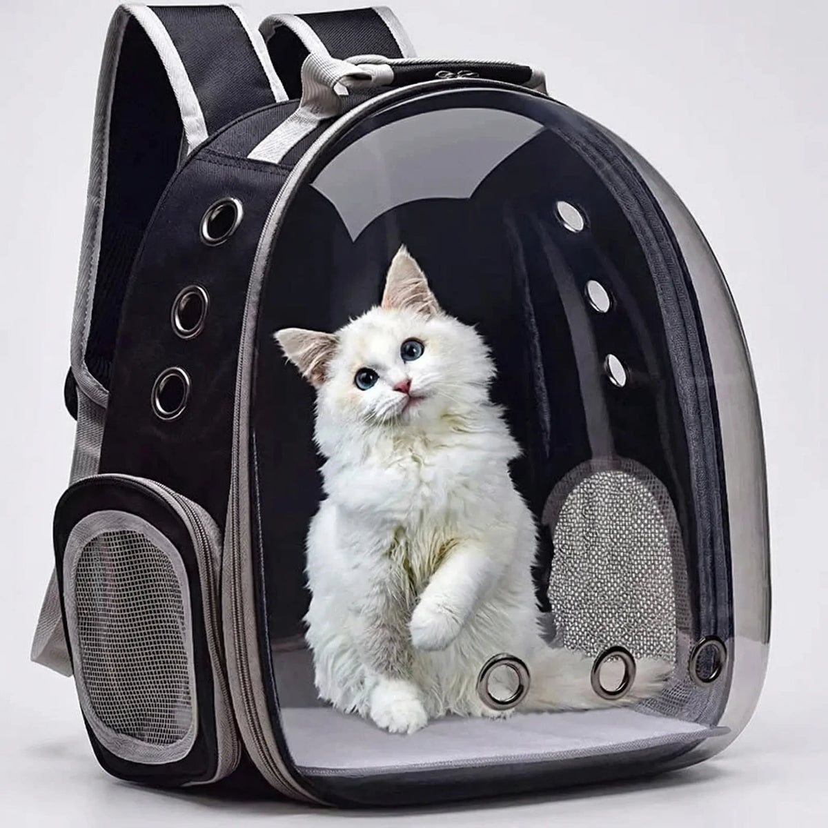 Haustierrucksack mit Bubble-Fenster und Mesh-Belüftung für Kleintiere