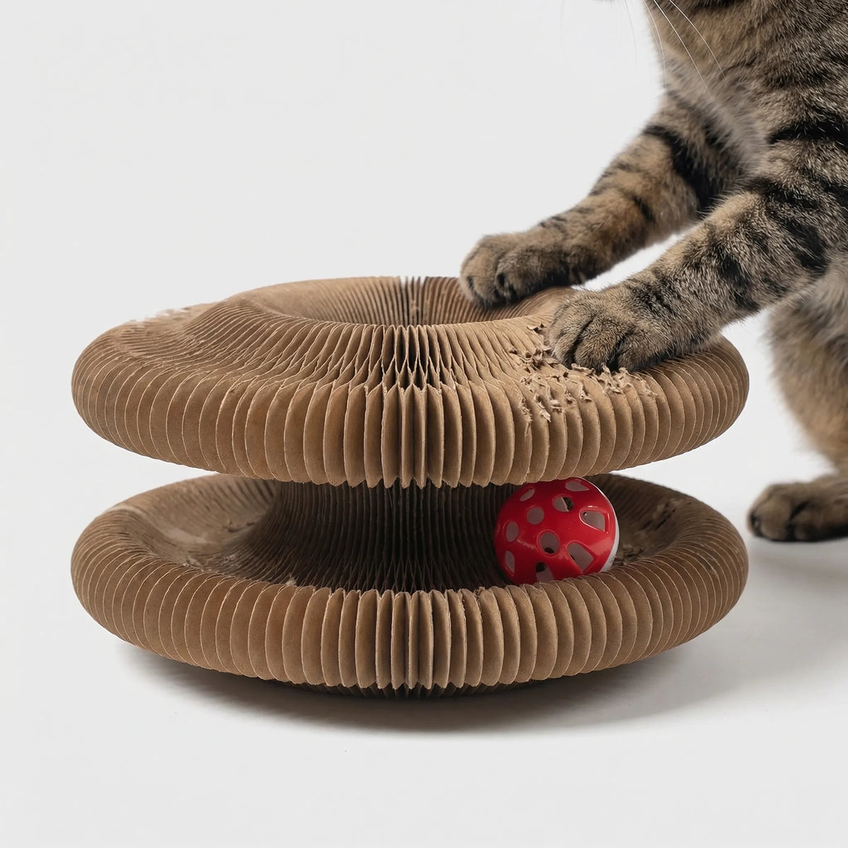 Faltbares Katzenkratzbrett aus Wellpappe mit Ballbahn und Liegefläche