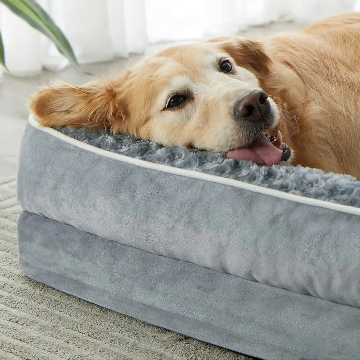 Orthopädisches Hundebett im Sofa-Stil für grosse Hunde mit waschbarem Bezug