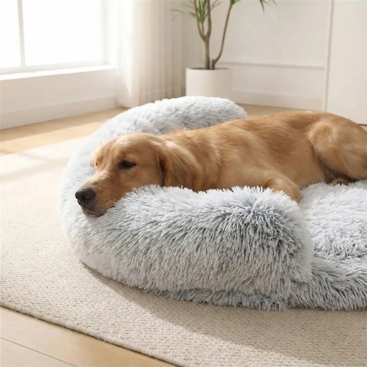 Orthopädisches Hundebett aus Eierschaum mit Plüschbezug und Sofa-Rand
