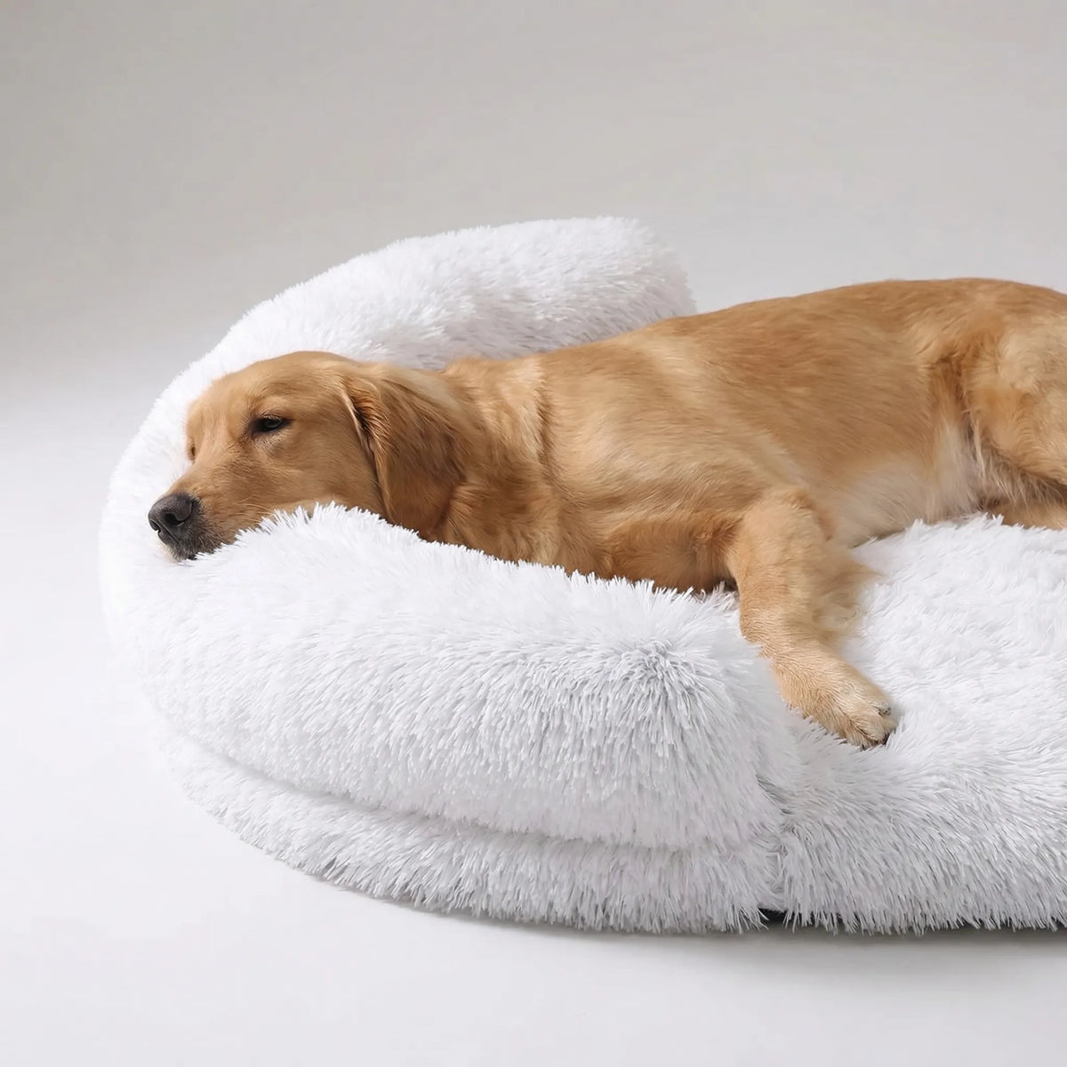 Orthopädisches Hundebett aus Eierschaum mit Plüschbezug und Sofa-Rand