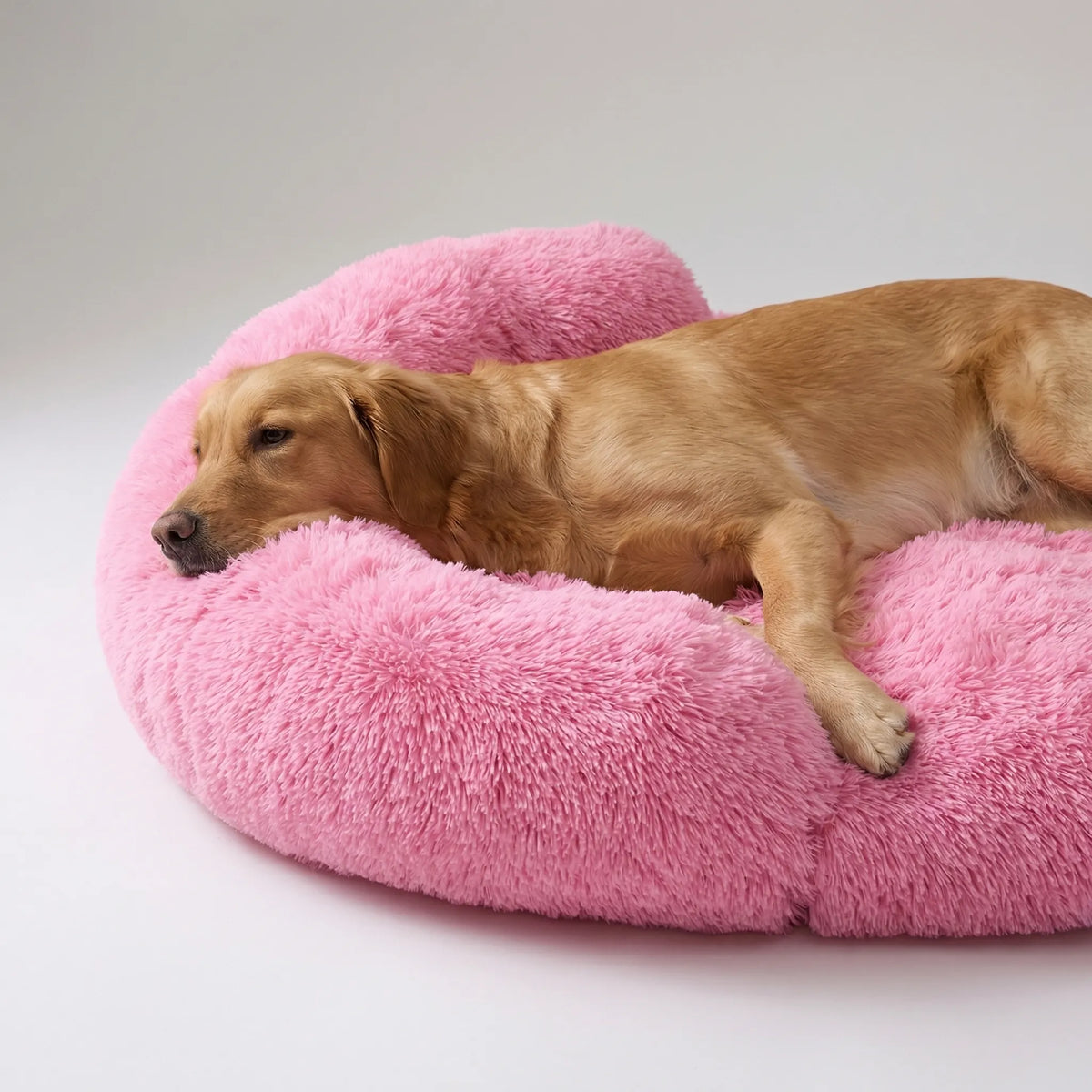 Orthopädisches Hundebett aus Eierschaum mit Plüschbezug und Sofa-Rand