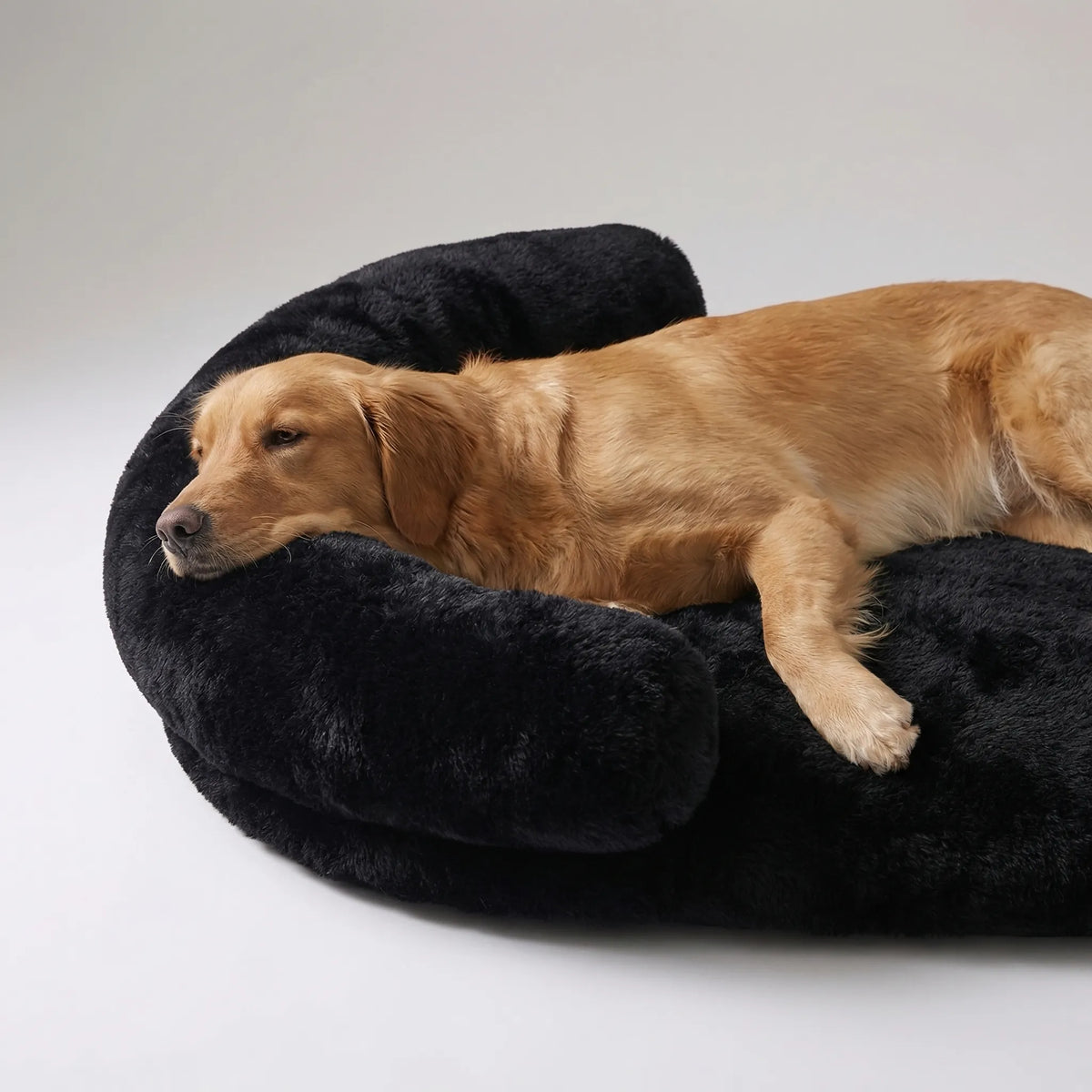 Orthopädisches Hundebett aus Eierschaum mit Plüschbezug und Sofa-Rand