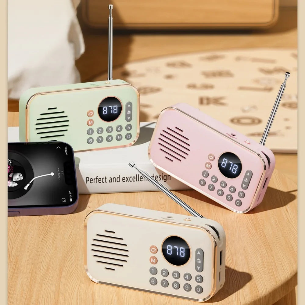 Tragbarer Bluetooth-Lautsprecher mit UKW-Radio und USB