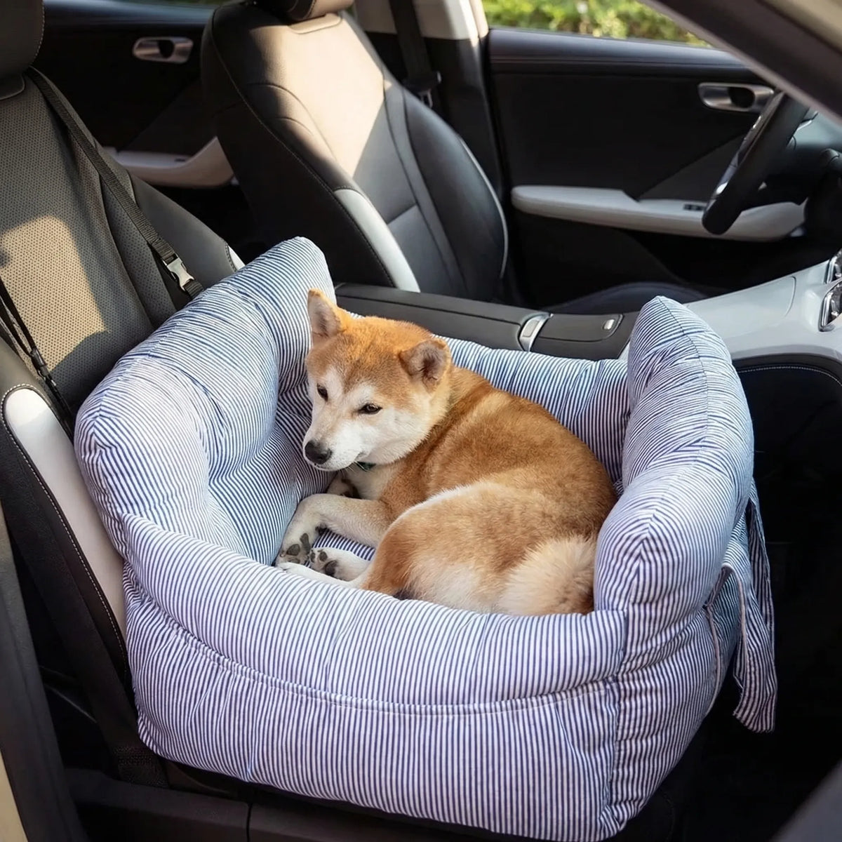 Hundeautositz gepolstert erhöhte Seitenwände waschbar Bezug