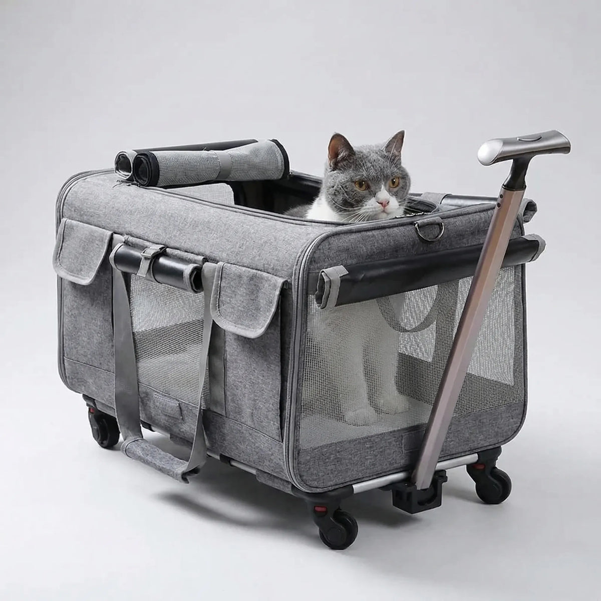 Übergroße Haustier-Trolley-Box mit abnehmbarem Transportbehälter klappbar