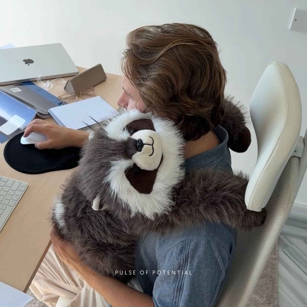 Rockie der Waschbär Gewichtstier