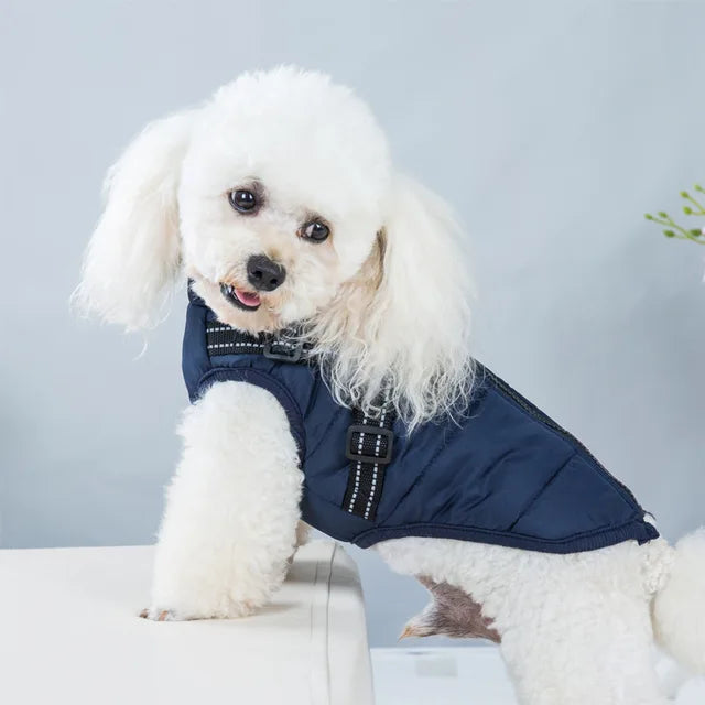Wind- und wasserdichte Hundejacke mit integriertem Geschirr