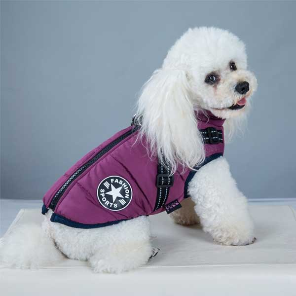 Winterjacke für Hunde mit Geschirr