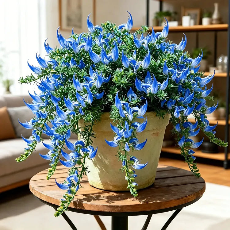 Papageienschnabel-Blumenzwiebeln – Einzigartige kaskadierende Blüten (100 Samen)