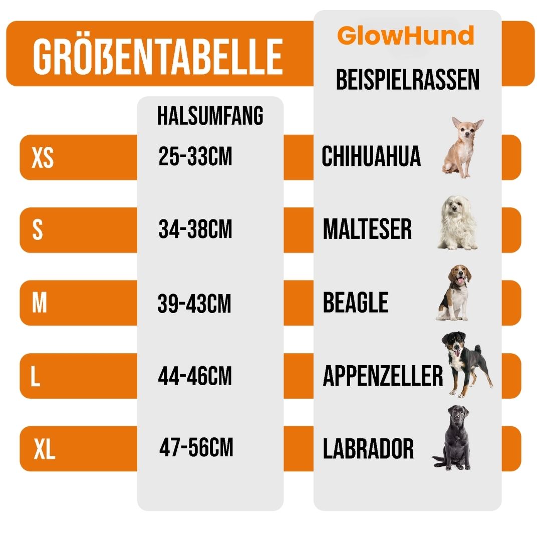 Leuchthalsband für Hunde